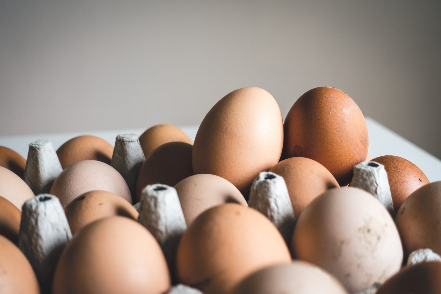 Carton Eggs