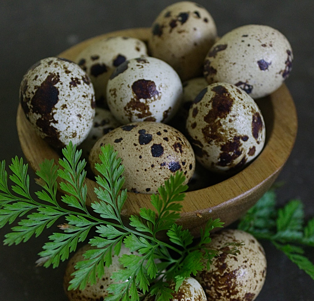 Quail Eggs